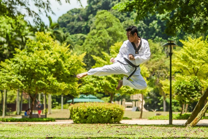 Taekwondo Image